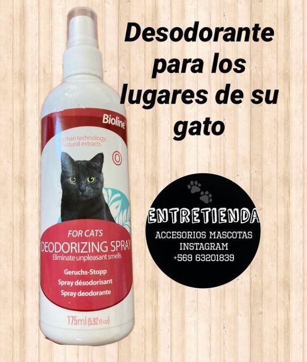 gato5